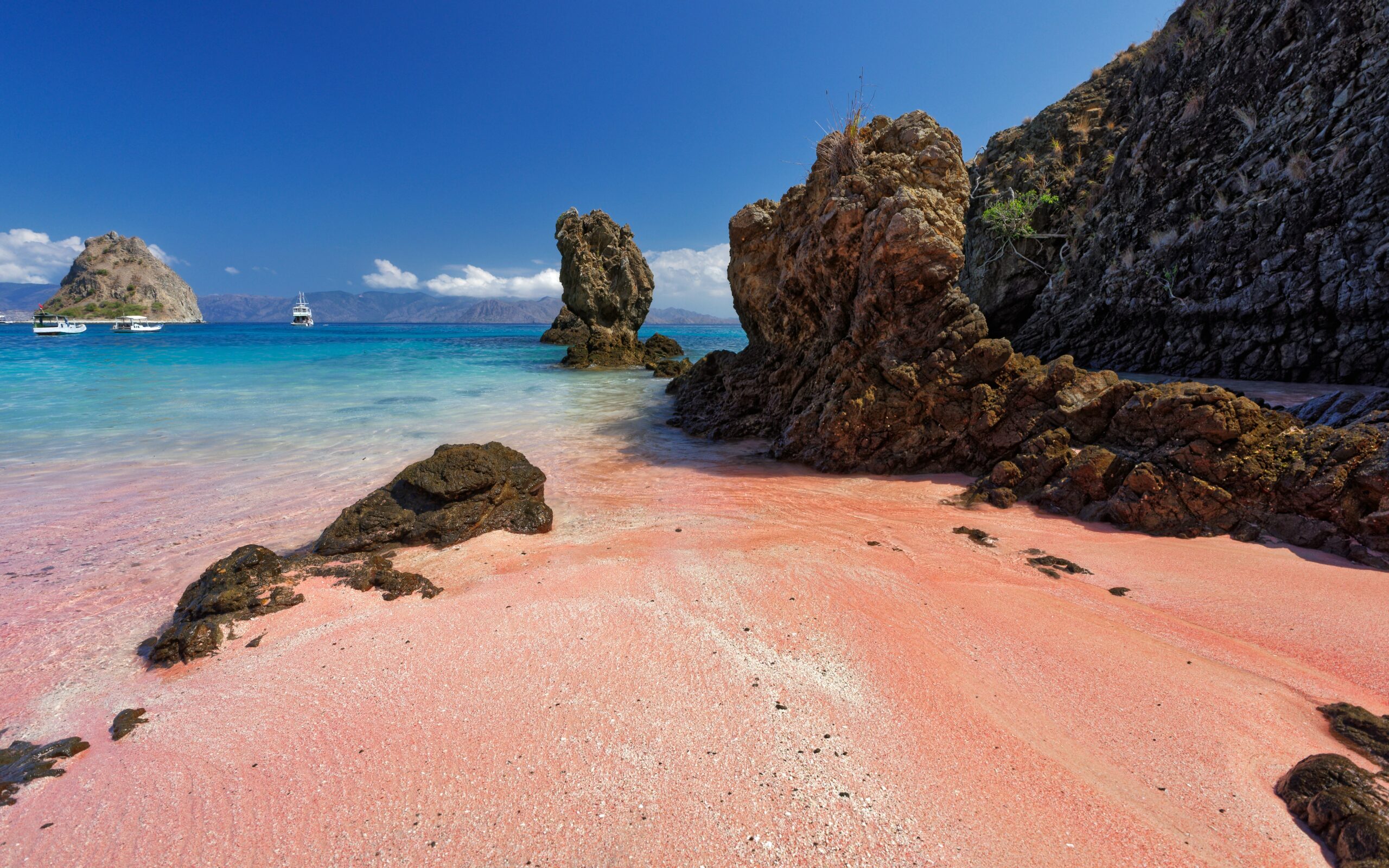 pink beach