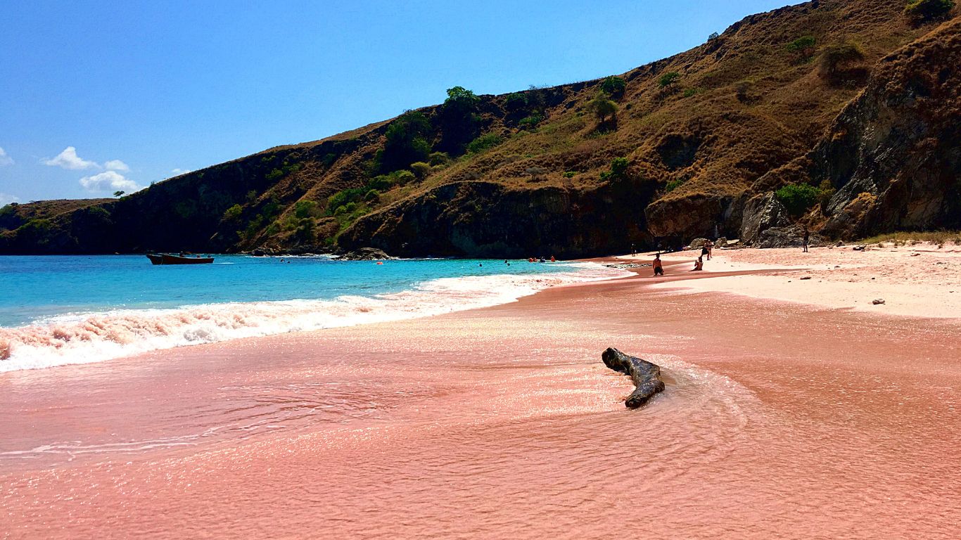 pink beach